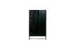 Miniature Cabinet 2 portes noir Silas 5