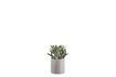 Miniature Cache-pot en verre gris H12 Glower 2