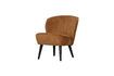 Miniature Fauteuil en velours marron Sara 4