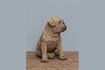 Miniature Figurine chien en résine marron Carlin 2