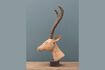 Miniature Figurine gazelle en bois clair Sculpté 2