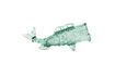 Miniature Jarre en verre recyclé transparent Fish 1