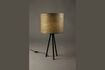 Miniature Lampe de table Woodland 2