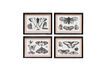 Miniature Lot de 4 cadres en bois noir Papillons 6