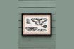 Miniature Lot de 4 cadres en bois noir Papillons 2