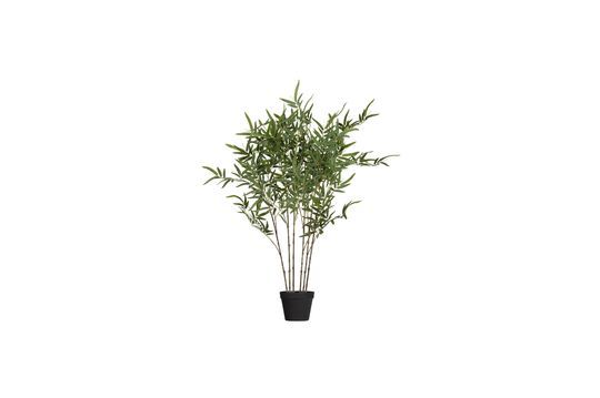 Plante artificielle verte Bambusa