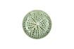 Miniature Plat en porcelaine verte Lotus 7