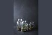 Miniature Vase en verre clair H20 Flowper 5